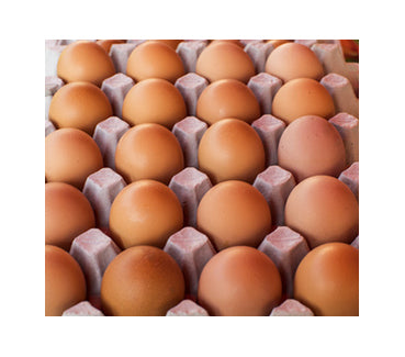 30 oeuf frais moyen